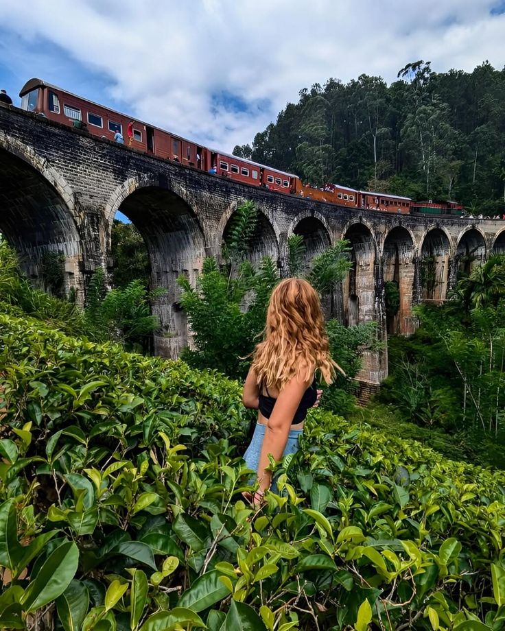Classic Ceylon Discovery