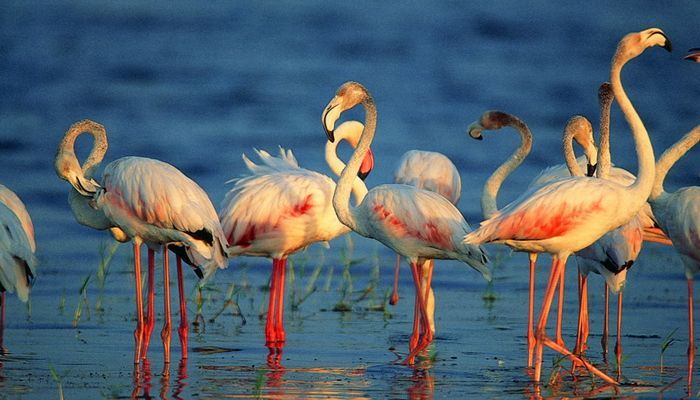 Kumana National Park